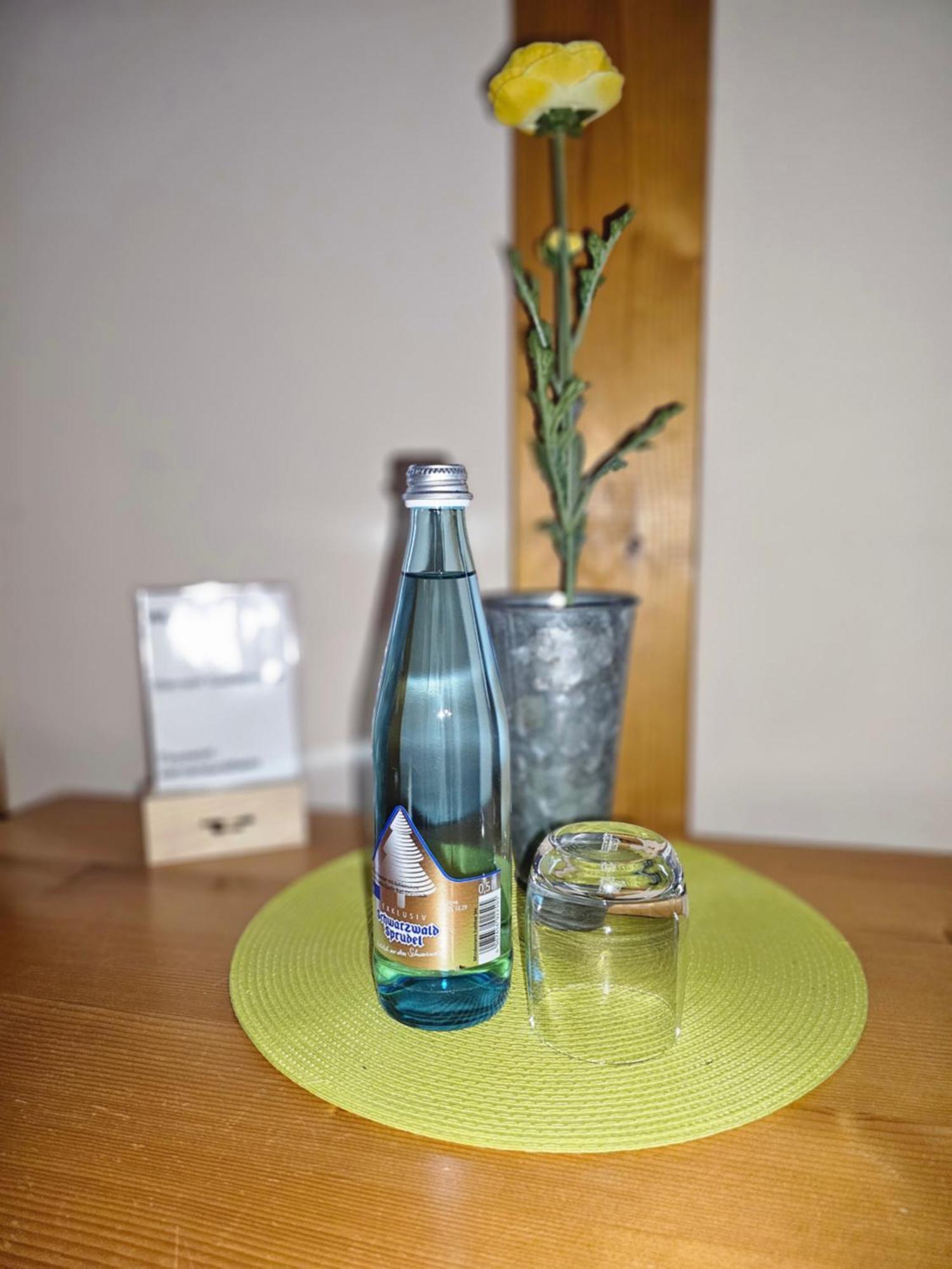 Landgasthaus Sternen Kehl Экстерьер фото